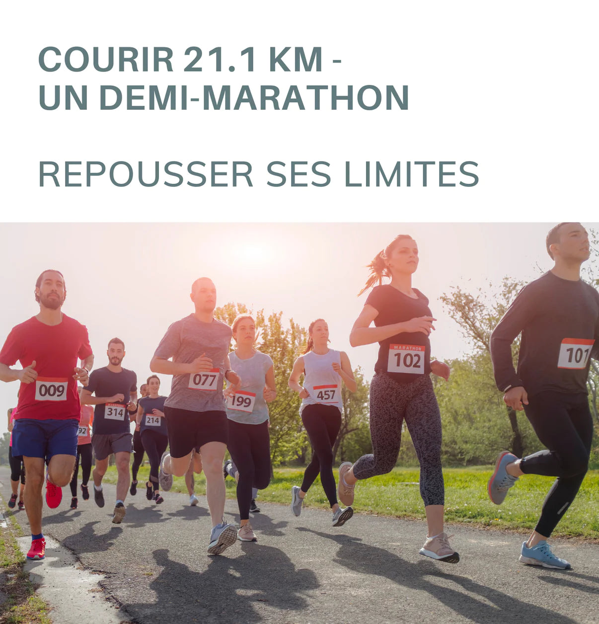 EBOOK-COURIR21_edited.jpg