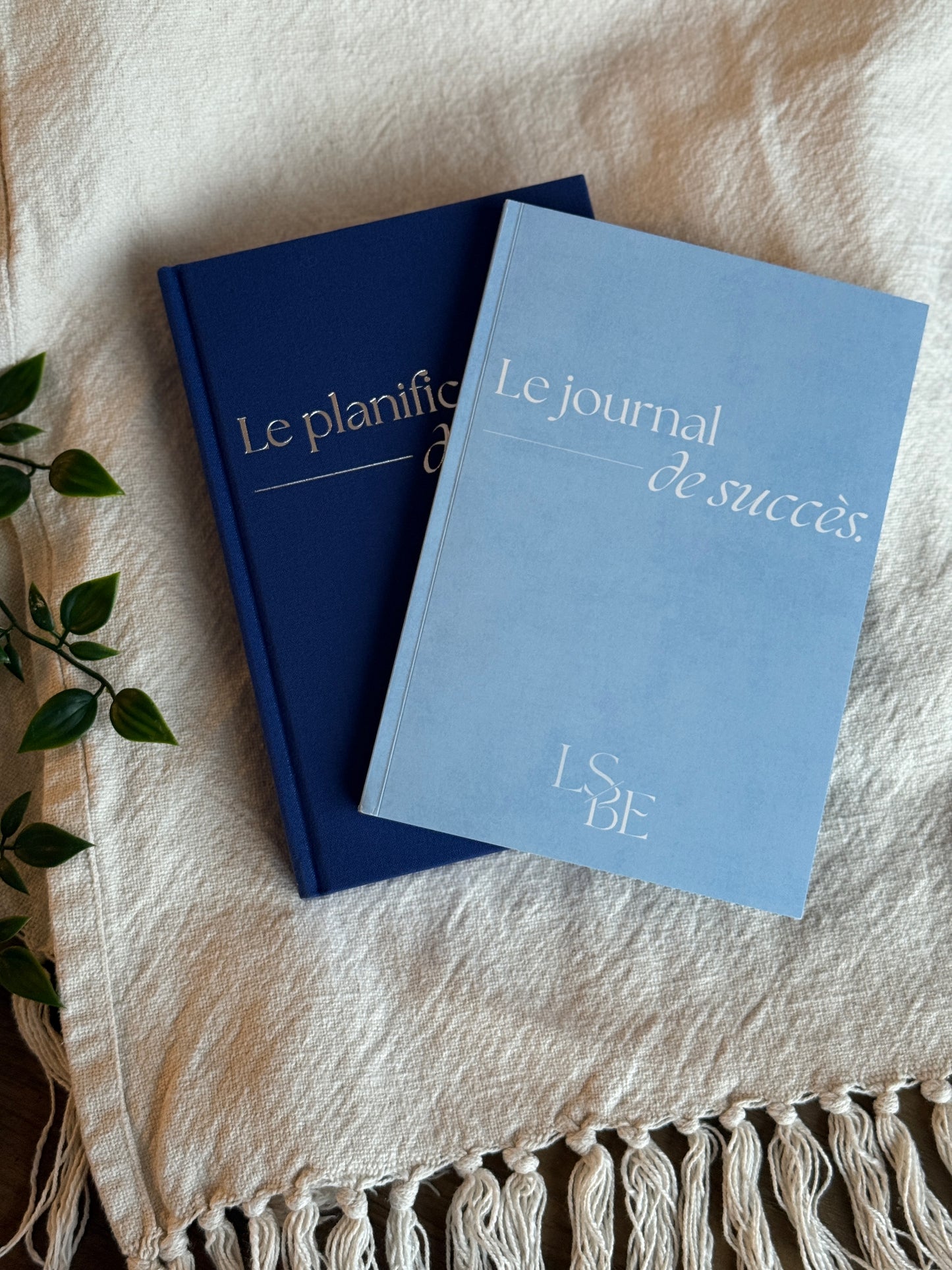 Combo Planificateur de succès et Journal de succès